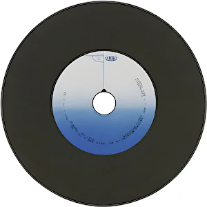 Brúsny kotúč 300x32x32 96A40P5VC40